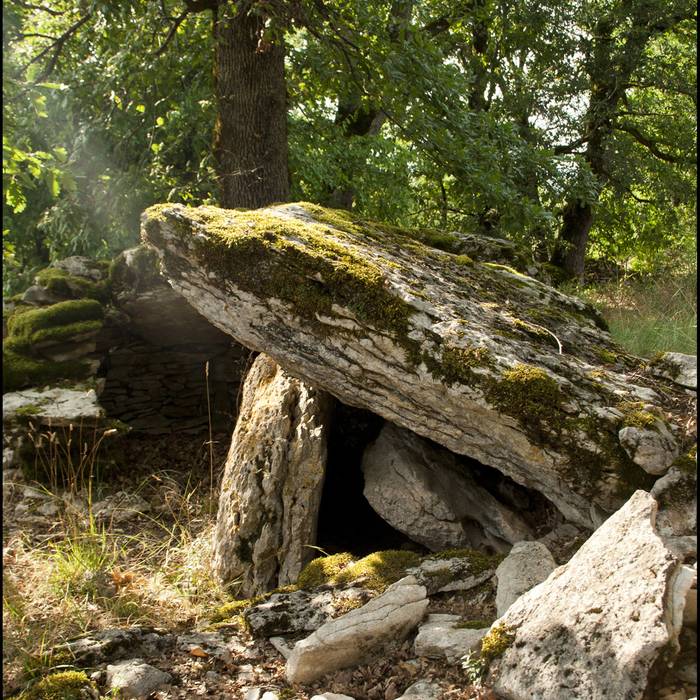 Photo de 6 Dolmens de Saint-Chels